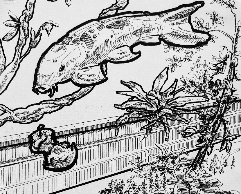 Burnett Honors College Garden, 2026